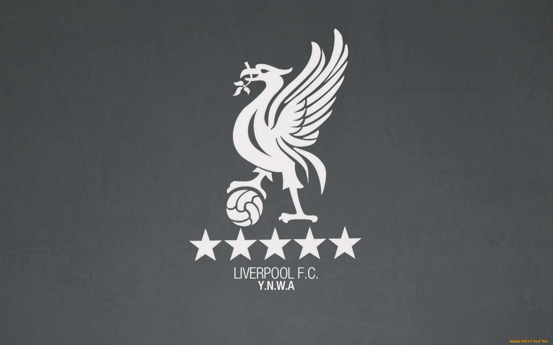 ,  , , liverpool, , , 